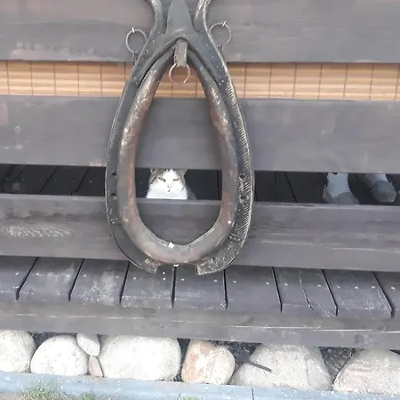 Gapkowo Stare Kiejkuty