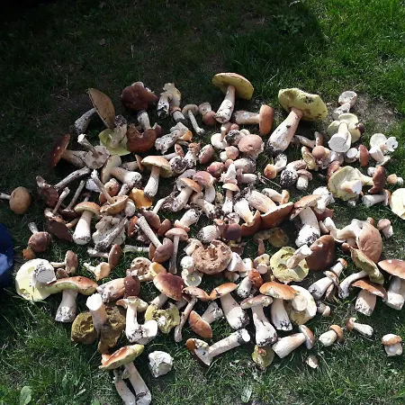 Gapkowo Stare Kiejkuty